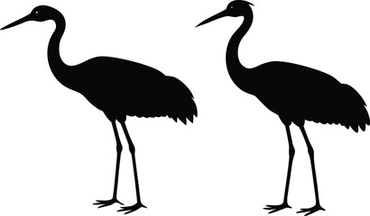 Obraz premium vector illustration of a crane and birds