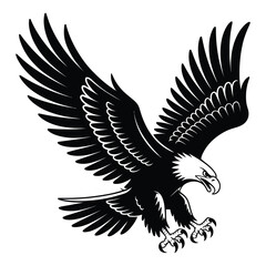 eagle vector illustration