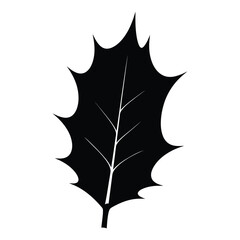 Naklejka premium Iconic black holly leaf silhouette with subtle vein detail for festive and seasonal design projects