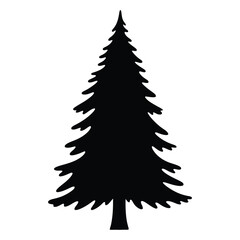 Fototapeta premium Silhouette of a tall evergreen pine tree in a classic conical shape symbolizing nature and the outdoors