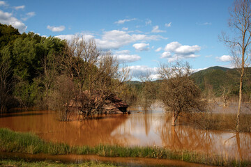Fototapete bei efototapeten.de bestellen   