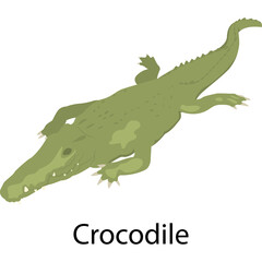 Green Crocodile Reptile With Sharp Teeth and Claws on a Transparent Background Isolated Vector Illustration
