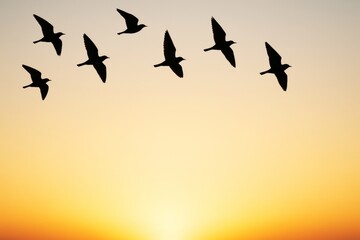 Silhouettes of flying birds in V-formation at golden sunrise with soft gradient sky background illustrating nature freedom and peaceful flight concept. Ai generative