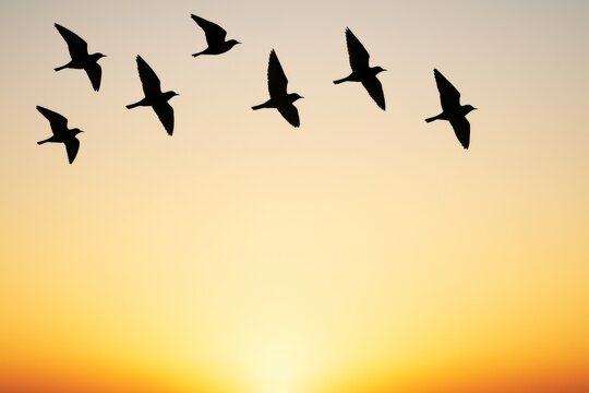 Silhouettes of flying birds in V-formation at golden sunrise with soft gradient sky background illustrating nature freedom and peaceful flight concept. Ai generative
