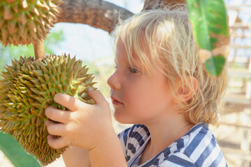 Close-up portrait of funny little boy examining and smelling ripe durian fruit hanging on a tree. Captured on a tropical farm. Family travel lifestyle in asian countries - Indonesia, Thailand, Vietnam