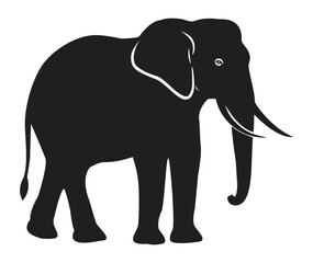 A majestic african or indian elephant silhouette illustration, highlighting the trunk, tusks, and large ears