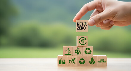 Building a sustainable future with net zero carbon and green investment