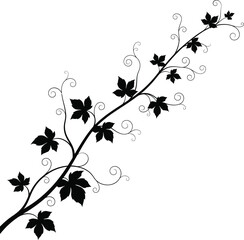 Elegant Black Silhouette Vine Branch with Leaves and Swirling Tendrils on White Background Botanical Design Element