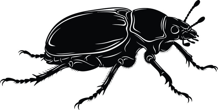 Black Silhouette Beetle Insect Vector Illustration Side View