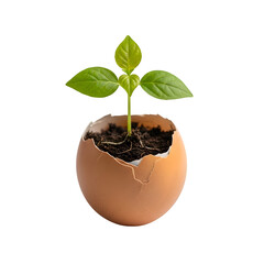 Small Plant Growing from a Cracked Eggshell, Symbolizing New Life and Sustainability, Isolated on White or Transparent Background