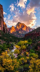 Scenic landscape of a canyon with a river and colorful trees