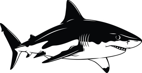 Black and white vector illustration of a powerful great white shark predator swimming