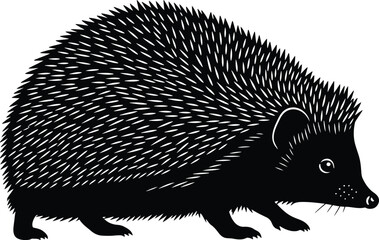 Stylized Black and White Hedgehog Vector Illustration