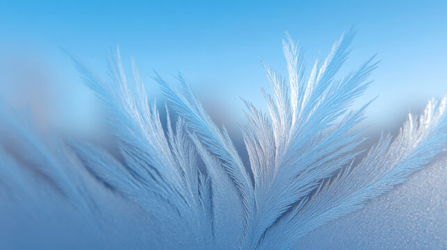 Frost pattern glass with delicate feather like ice crystals forming winter scene as cold season is coming with clear blue sky