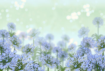 アガパンサスとキラキラした背景