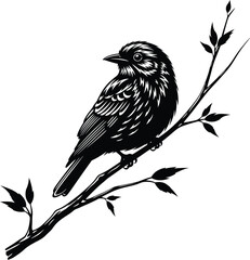 Black and White Bird on Branch Silhouette Vector Illustration