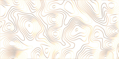 Topographic canyon geometric map relief texture with curved layers and shadow .Abstract geometric topographic contour map background. Panorama view gradient multicolor wave curve