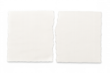 Ripped blank paper pieces with torn edges on transparent background, showing separation and division concept