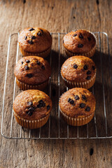 Freshly Baked Chocolate Chip Muffins on Wooden Table Surface