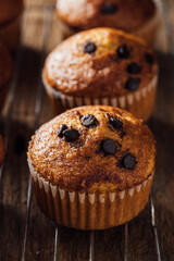 Freshly Baked Chocolate Chip Muffin on Cooling Rack Display
