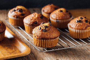 Freshly Baked Chocolate Chip Muffins on a Rustic Wooden Table