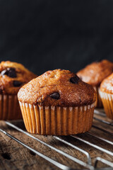 Freshly Baked Chocolate Chip Muffins on Cooling Rack