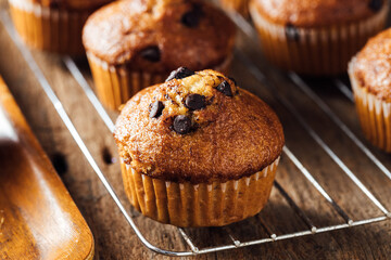 Freshly Baked Chocolate Chip Muffins on a Cooling Rack