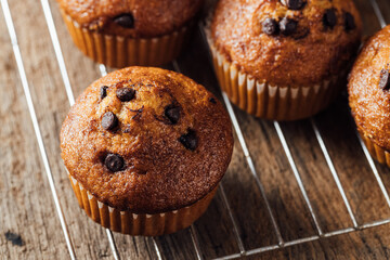 Delicious Chocolate Chip Muffins Freshly Baked on Cooling Rack
