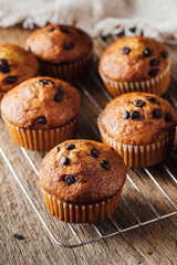 Freshly Baked Muffins with Chocolate Chips on a Cooling Rack