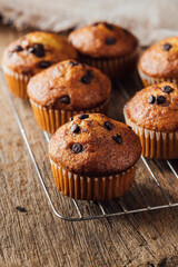 Freshly Baked Muffins with Chocolate Chips on Cooling Rack
