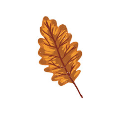 Autumn Oak Leaf Clipart with Rich Textured Fall Colors