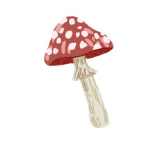 Fly Agaric Toadstool Vector Illustration with Speckled Cap