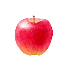 りんご　果物　水彩 イラスト