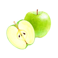 青りんご　果物 断面　水彩 イラスト