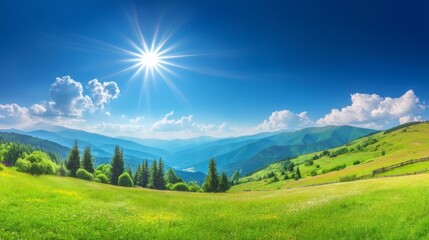 A serene landscape with lush green fields dotted with white flowers under bright sunlight,