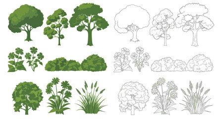 Fototapeta premium A collection of various green trees, bushes, flowers, and grasses shown in both colored and black and white outline versions.