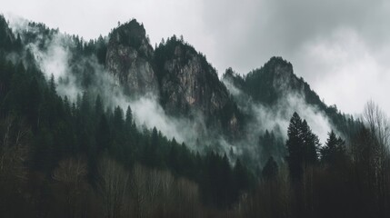 Mysterious mountainous landscape with dense forests, steep rocky faces, mist drifting through valleys, evergreen trees,