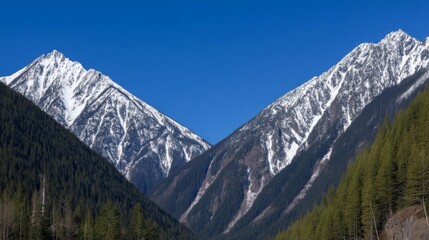 Majestic snow-capped mountains under clear blue sky frame a lush green valley with dense coniferous trees,