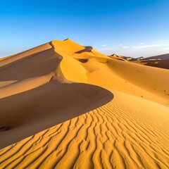 A vast desert landscape featuring undulating golden sand dunes under a clear, blue sky