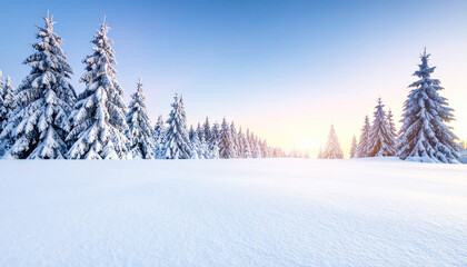 Snowy Winter Landscape with Evergreen Trees and Blue Sky.