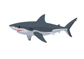 Obraz premium Cartoon Illustration of a Great White Shark Swimming.