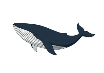 Fototapeta premium Cartoon Illustration of a Blue Whale Swimming Freely.