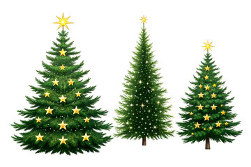 Three decorated evergreen trees with golden stars