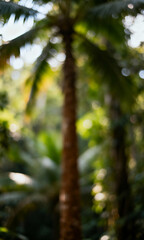 Blurred Palm Tree in Nature A Tranquil Tropical Escape