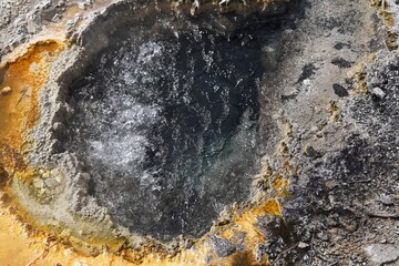 Fototapeta premium yellowstone hot spring