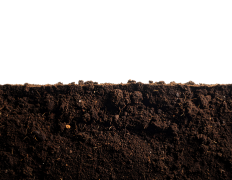 Close up of dark organic soil isolated on transparent background new png