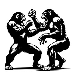 Two chimpanzees in a fierce confrontation with fists raised and mouths open in aggressive display of power