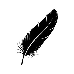 Fototapeta premium Elegant black feather silhouette on white background