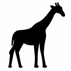 A simple silhouette illustration of a giraffe standing on a white background