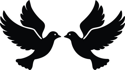 Fototapeta premium Two black doves facing each other in flight bird flying